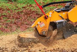 Grass Overseeding in Nesquehoning, PA